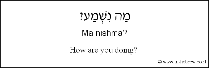 English to Hebrew: How are you doing? 