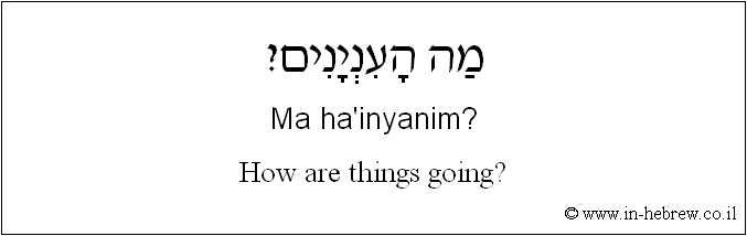 English to Hebrew: How are things going?