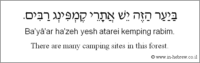 English to Hebrew: There are many camping sites in this forest.