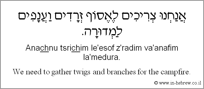 English to Hebrew: We need to gather twigs and branches for the campfire.
