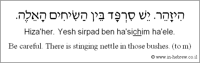 English to Hebrew: Be careful. There is stinging nettle in those bushes. ( to m )