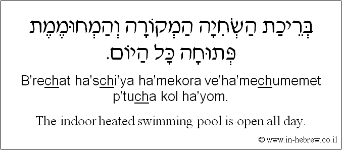 English to Hebrew: The indoor heated swimming pool is open all day.