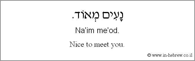 English to Hebrew: Nice to meet you.