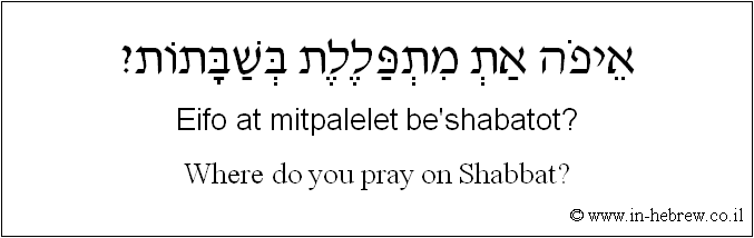 English to Hebrew: Where do you pray on Shabbat?