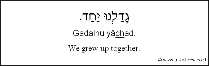 English to Hebrew: We grew up together.