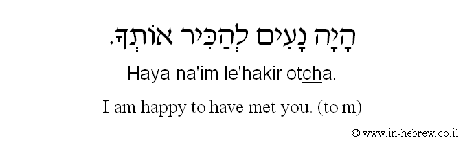 English to Hebrew: I am happy to have met you. ( to m )