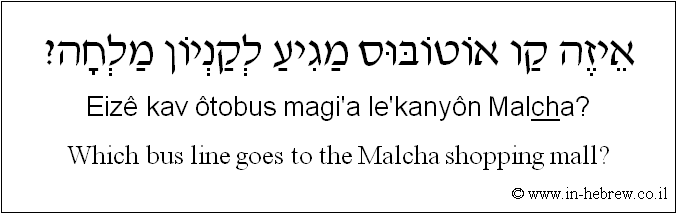 English to Hebrew: Which bus line goes to the Malcha shopping mall?