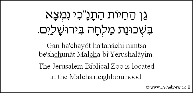 English to Hebrew: The Jerusalem Biblical Zoo is located in the Malcha neighbourhood.