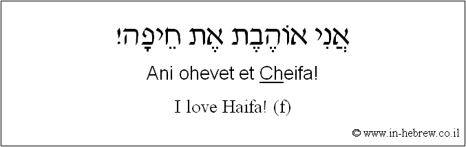 English to Hebrew: I love Haifa! ( f )