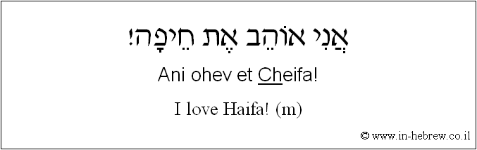 English to Hebrew: I love Haifa! ( m )