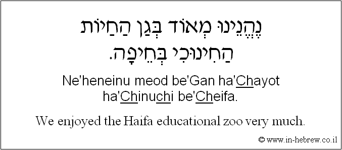English to Hebrew: We enjoyed very much the Haifa educational zoo.