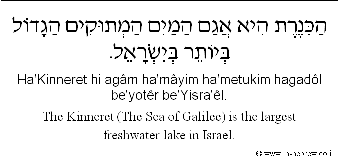 English to Hebrew: The Kinneret (The Sea of Galilee) is the largest freshwater lake in Israel.