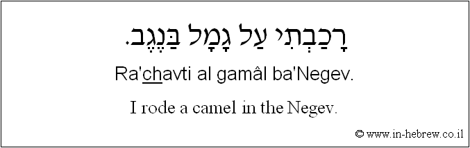 English to Hebrew: I rode a camel in the Negev.