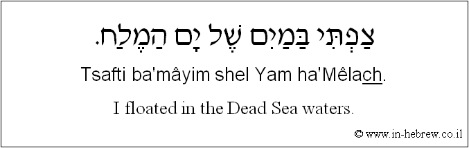 English to Hebrew: I floated in the Dead Sea waters.