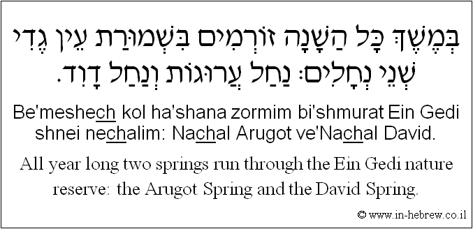 English to Hebrew: All year long two springs run through the Ein Gedi nature reserve: the Arugot Spring and the David Spring.