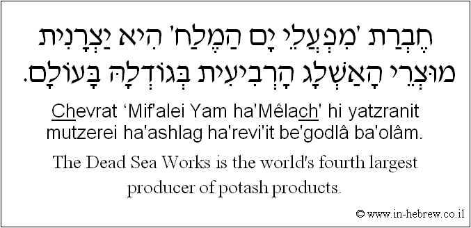 English to Hebrew: The Dead Sea Works is the world's fourth largest producer of potash products.