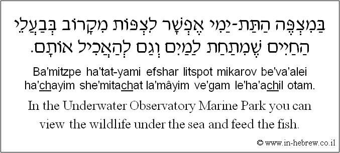 English to Hebrew: In the Underwater Observatory Marine Park you can view the wildlife under the sea and feed the fish.