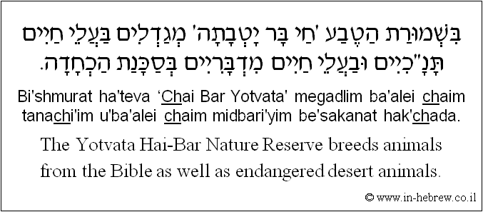 English to Hebrew: The Yotvata Hai-Bar Nature Reserve breeds animals from the Bible as well as endangered desert animals.