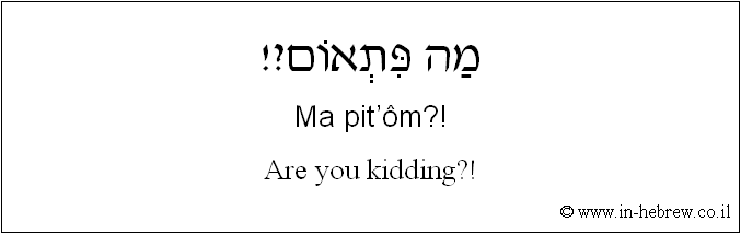 English to Hebrew: Are you kidding?!