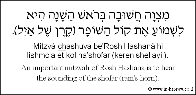 English to Hebrew: An important mitzvah of Rosh Hashana is to hear the sounding of the shofar (ram's horn).