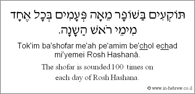 English to Hebrew: The shofar is sounded 100  times on each day of Rosh Hashana.