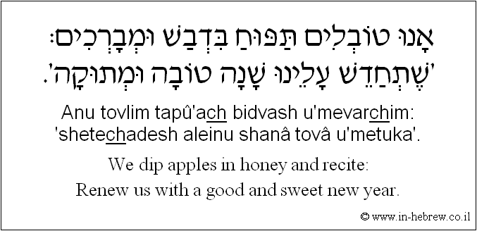 English to Hebrew: We dip apples in honey and recite: Renew us with a good and sweet new year.