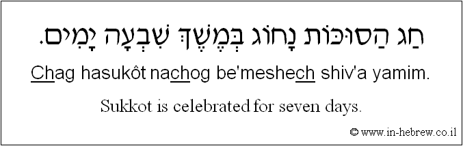 English to Hebrew: Sukkot is celebrated for seven days.