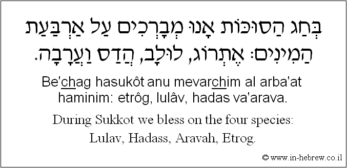 English to Hebrew: During Sukkot we bless on the four species: Lulav, Hadass, Aravah, Etrog.