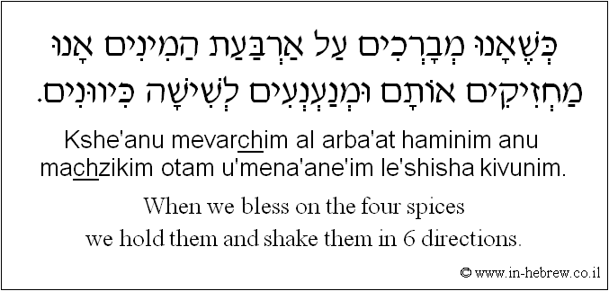 English to Hebrew: When we bless on the four spices we hold them and shake them in 6 directions.