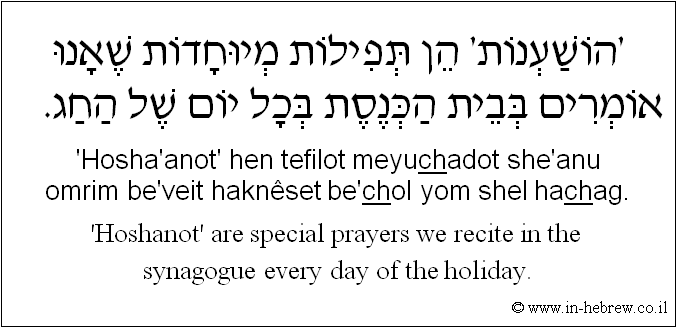 English to Hebrew: 'Hoshanot' are special prayers we recite in the synagogue every day of the holiday.