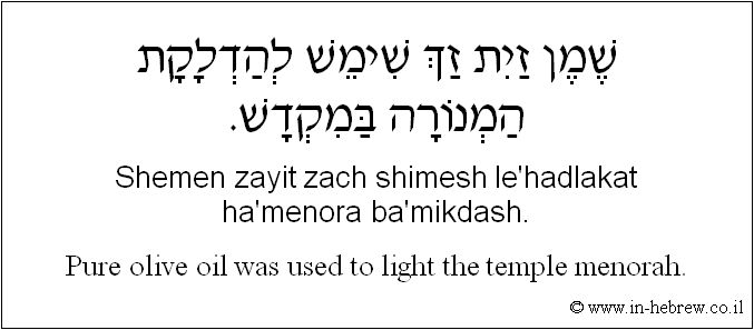 English to Hebrew: Pure olive oil was used to light the temple menorah.