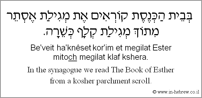 English to Hebrew: In the synagogue we read The Book of Esther from a kosher parchment scroll.