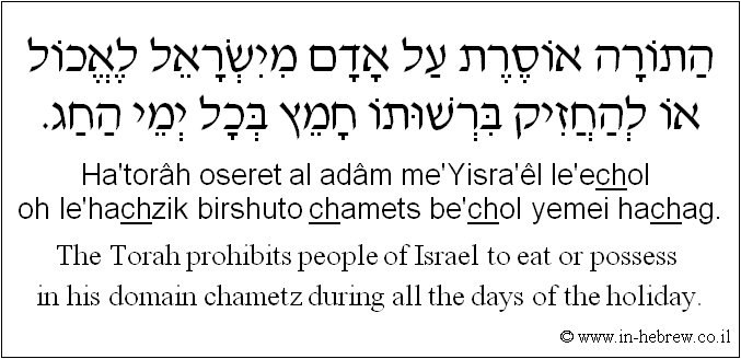 English to Hebrew: The Torah prohibits people of Israel to eat or possess in his domain chametz during all the days of the holiday.