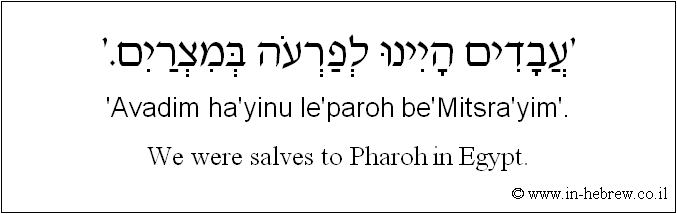 English to Hebrew: We were salves to Pharoh in Egypt.