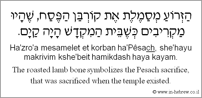 English to Hebrew: The roasted lamb bone symbolizes the Pesach sacrifice, that was sacrificed when the temple existed.