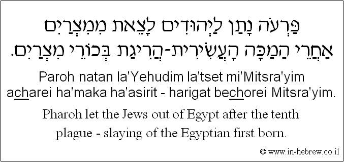English to Hebrew: Pharoh let the Jews out of Egypt after the tenth plague - slaying of the Egyptian first born.