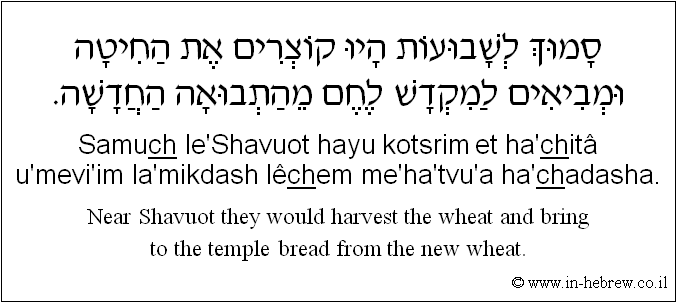 English to Hebrew: Near Shavuot they would harvest the wheat and bring to the temple bread from the new wheat.