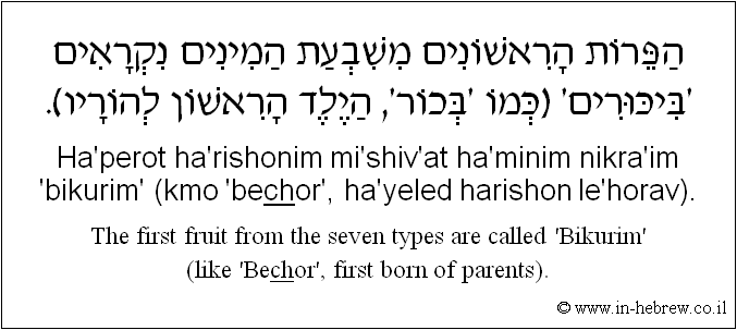 English to Hebrew: The first fruit from the seven types are called 'Bikurim' (like 'Bechor', first born of parents).
