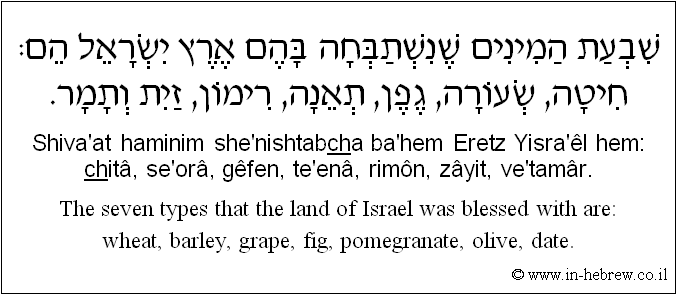 English to Hebrew: The seven types that the land of Israel was blessed with are: wheat, barley, grape, fig, pomegranate, olive, date.