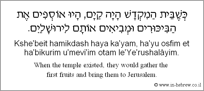 English to Hebrew: When the temple existed, they would gather the first fruits and bring them to Jerusalem.