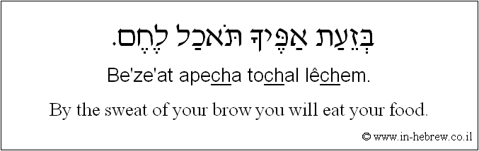Learn Hebrew Phrases Audio #883: By the sweat of your brow you will eat your food.