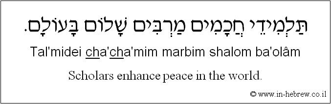 English to Hebrew: Scholars enhance peace in the world.