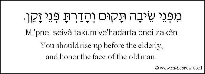 English to Hebrew: You should rise up before the elderly, and honor the face of the old man.