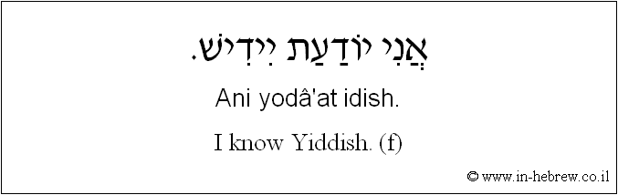 English to Hebrew: I know Yiddish. ( f )
