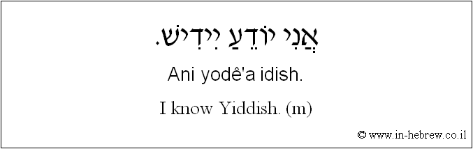 English to Hebrew: I know Yiddish. ( m )