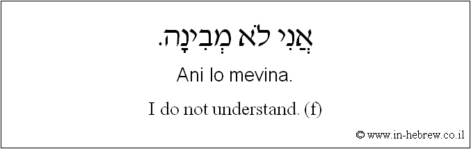 English to Hebrew: I do not understand. ( f )