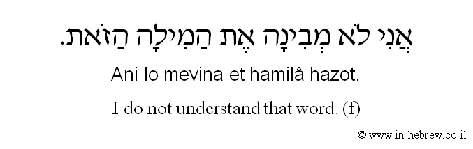 English to Hebrew: I do not understand this word. ( f )