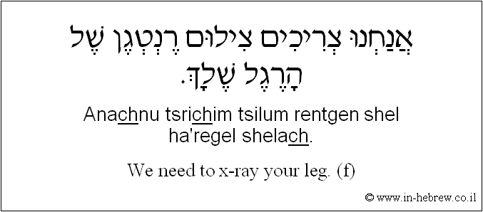 English to Hebrew: We need to x-ray your leg. ( to f )