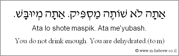 English to Hebrew: You do not drink enough. You are dehydrated.( to m )