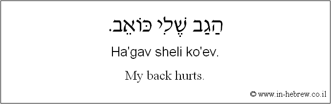English to Hebrew: My back hurts.